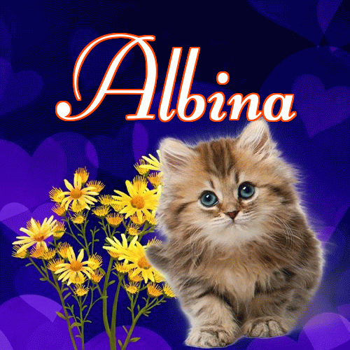 Milutkich słodziutkich snów!。 