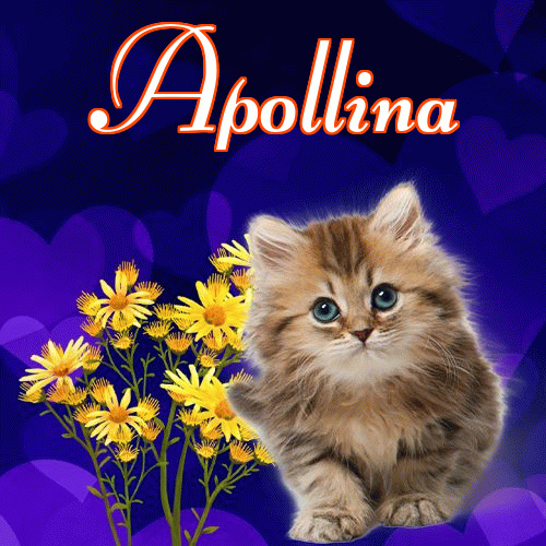 Milutkich słodziutkich snów!。 