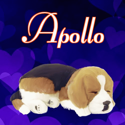 Milutkich słodziutkich snów!。 