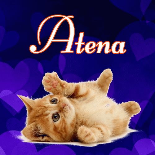 Milutkich słodziutkich snów!。 