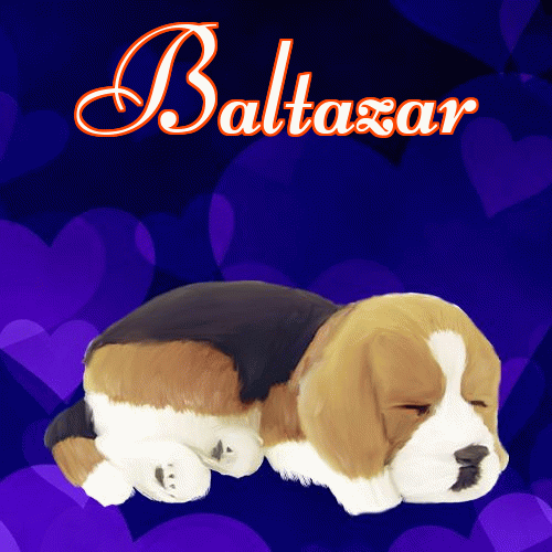 Milutkich słodziutkich snów!。 