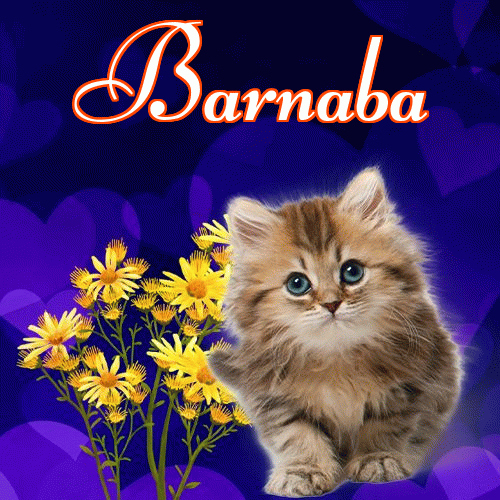 Milutkich słodziutkich snów!。 