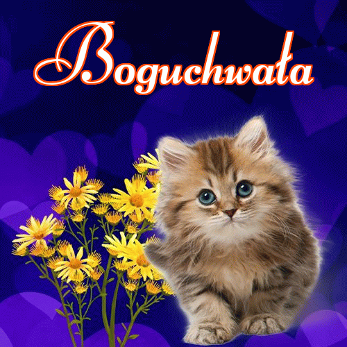 Milutkich słodziutkich snów!。 