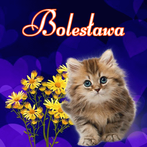 Milutkich słodziutkich snów!。 