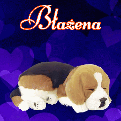 Milutkich słodziutkich snów!。 