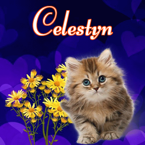 Milutkich słodziutkich snów!。 