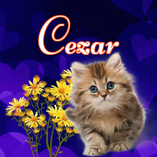 Milutkich słodziutkich snów!。 