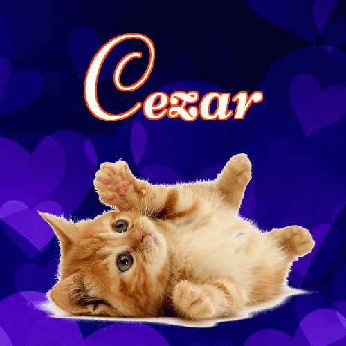 Milutkich słodziutkich snów!。 