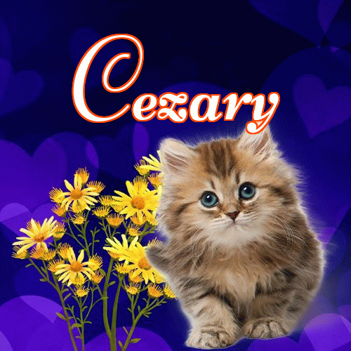 Milutkich słodziutkich snów!。 