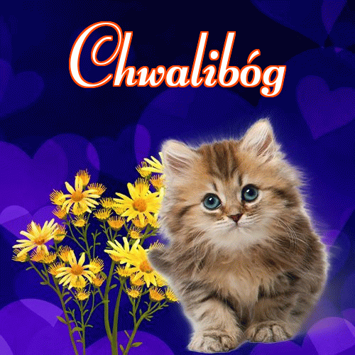 Milutkich słodziutkich snów!。 