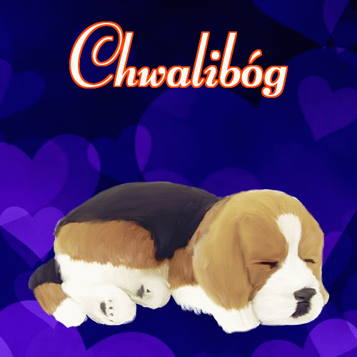 Milutkich słodziutkich snów!。 