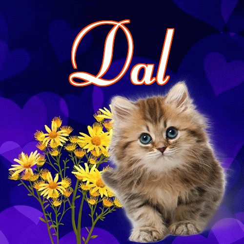 Milutkich słodziutkich snów!。 