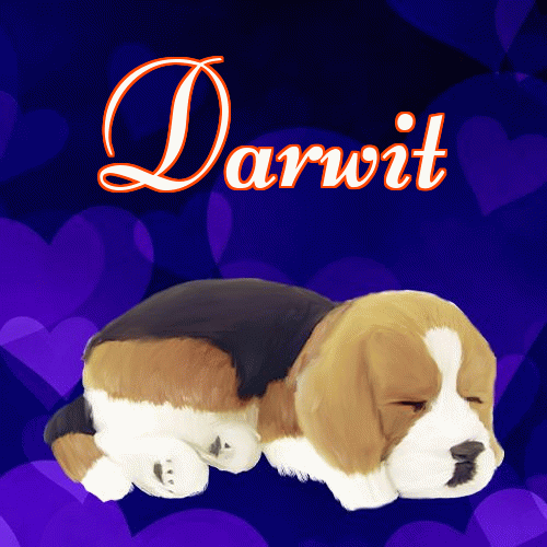 Milutkich słodziutkich snów!。 