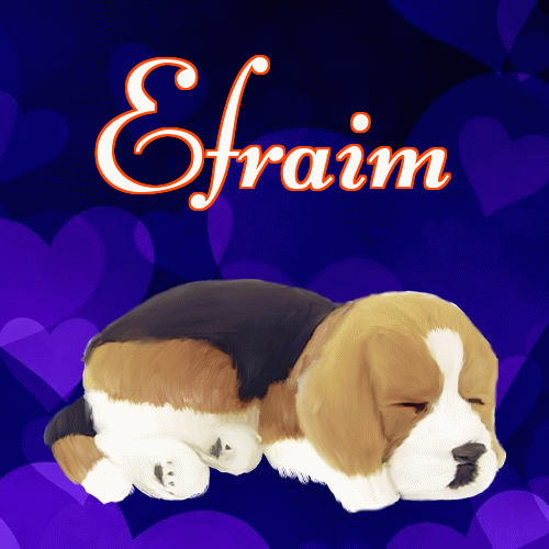 Milutkich słodziutkich snów!。 