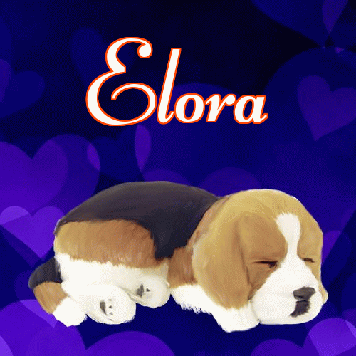 Milutkich słodziutkich snów!。 