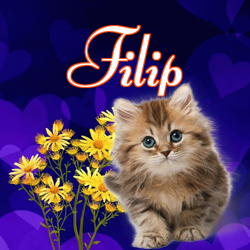 Milutkich słodziutkich snów!。 