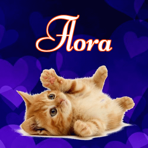 Milutkich słodziutkich snów!。 