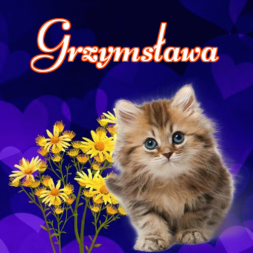 Milutkich słodziutkich snów!。 