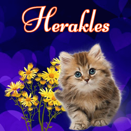 Milutkich słodziutkich snów!。 