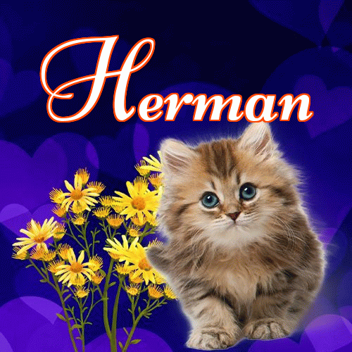 Milutkich słodziutkich snów!。 