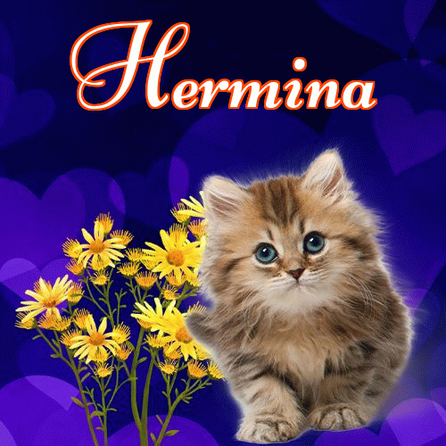 Milutkich słodziutkich snów!。 