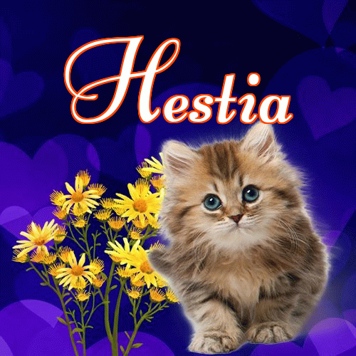 Milutkich słodziutkich snów!。 