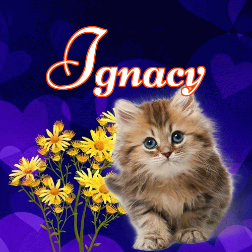 Milutkich słodziutkich snów!。 