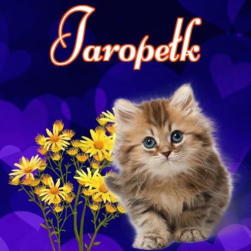 Milutkich słodziutkich snów!。 