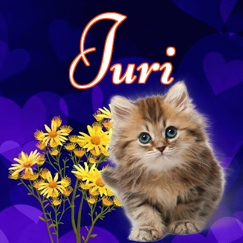 Milutkich słodziutkich snów!。 