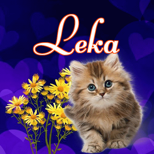 Milutkich słodziutkich snów!。 