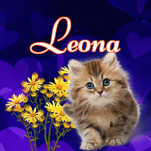 Milutkich słodziutkich snów!。 