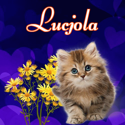 Milutkich słodziutkich snów!。 