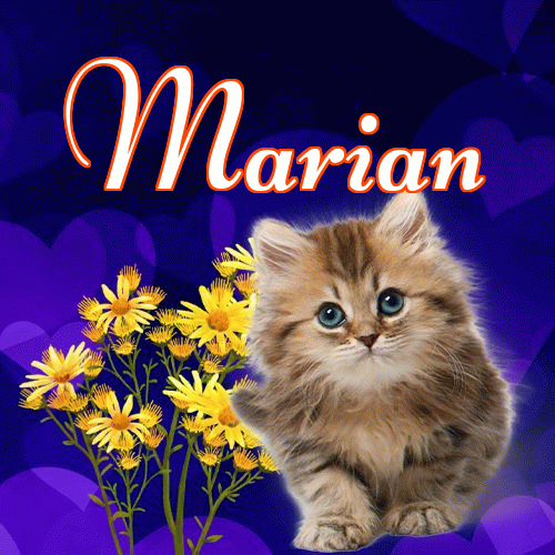 Milutkich słodziutkich snów!。 