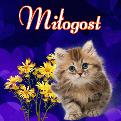 Milutkich słodziutkich snów!。 