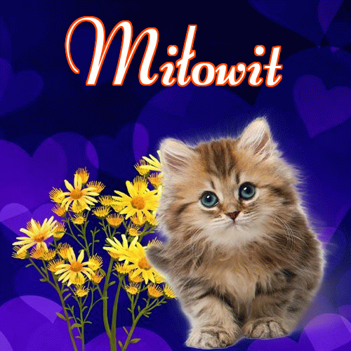 Milutkich słodziutkich snów!。 