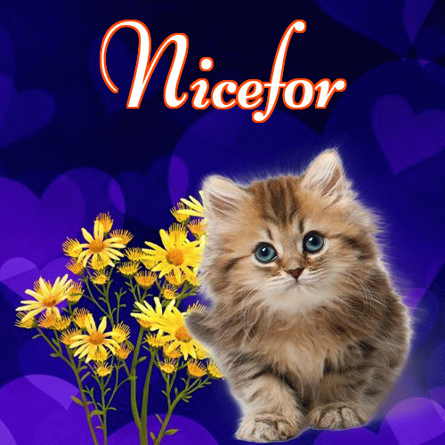 Milutkich słodziutkich snów!。 