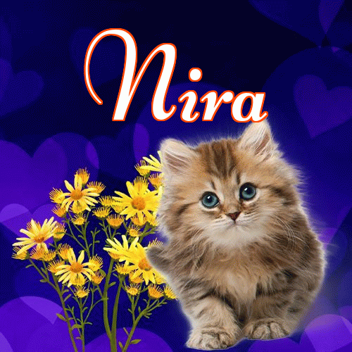 Milutkich słodziutkich snów!。 