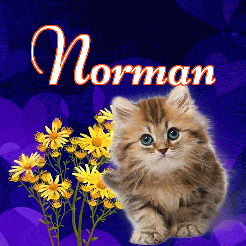 Milutkich słodziutkich snów!。 