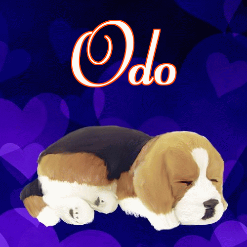 Milutkich słodziutkich snów!。 