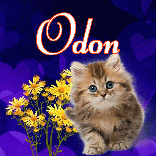 Milutkich słodziutkich snów!。 