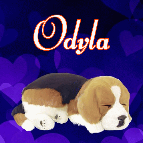 Milutkich słodziutkich snów!。 