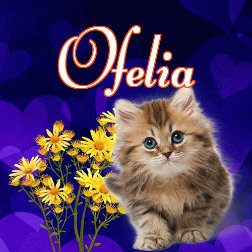 Milutkich słodziutkich snów!。 