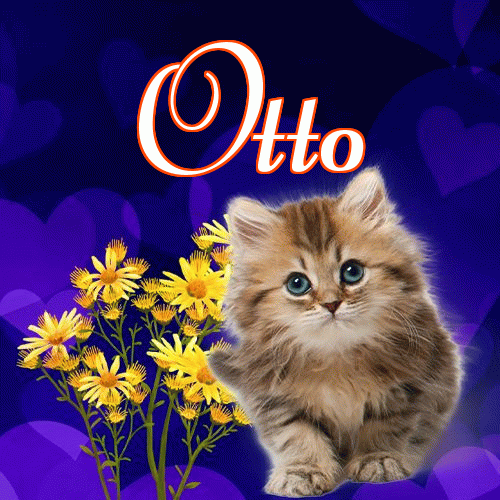 Milutkich słodziutkich snów!。 