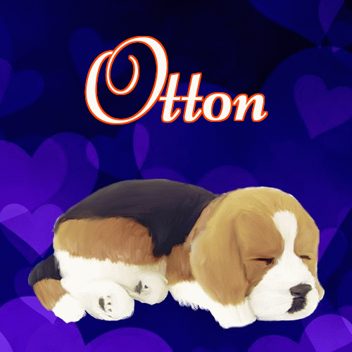 Milutkich słodziutkich snów!。 