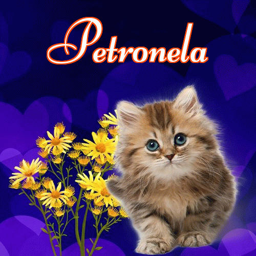 Milutkich słodziutkich snów!。 