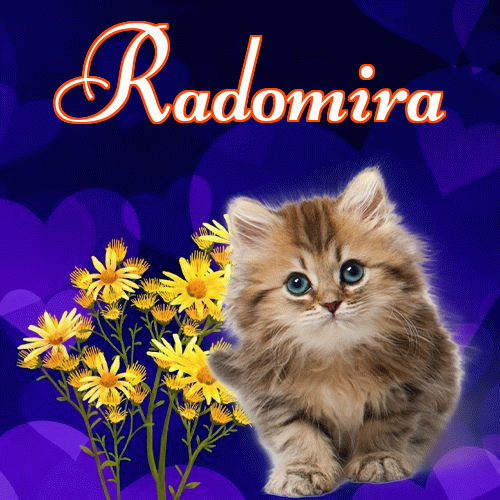 Milutkich słodziutkich snów!。 