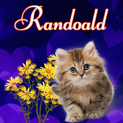 Milutkich słodziutkich snów!。 