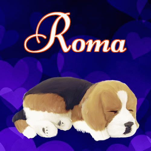 Milutkich słodziutkich snów!。 