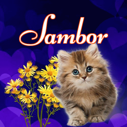 Milutkich słodziutkich snów!。 