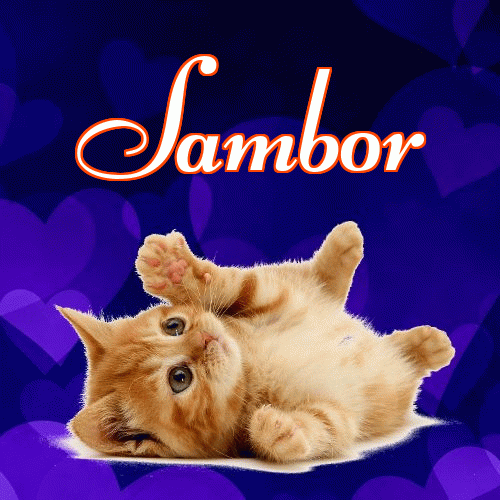 Milutkich słodziutkich snów!。 